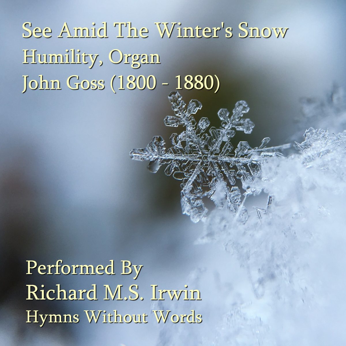 See Amid The Winter'S Snow (Humility, Organ)